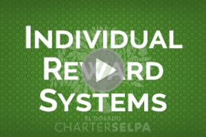 Link to SBIS: Individual Reward Systems webmodule