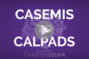 CASEMIS to CALPADS Webmodule
