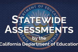 Statewide Assessments Series