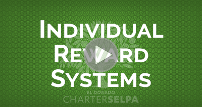 Link to SBIS: Individual Reward Systems webmodule