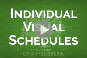 Link to SBIS: Individual Visual Schedules wobmodule