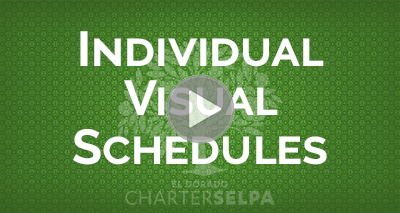 Link to SBIS: Individual Visual Schedules wobmodule